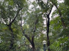 -九龙公园