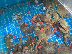 -宾朋海鲜饭庄(兴海路店)