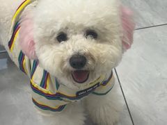 -宠福鑫康馨动物医院·骨科·眼科