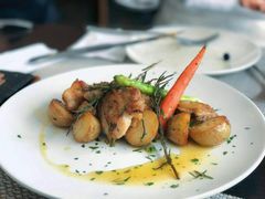 -BONAZZA 意大利餐厅