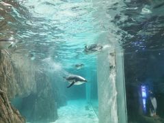 -成都浩海立方海洋公园