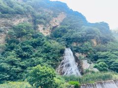 -陕西省红河谷森林公园