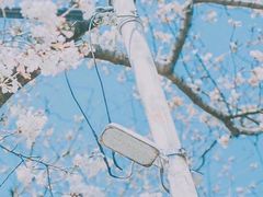 -Pandora潘多拉珠宝(武商广场店)