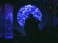 -成都浩海立方海洋公园