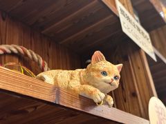 -鸟鹏烧鸟居酒屋(龙岗万科店)