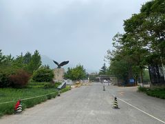 -北京鹫峰国家森林公园