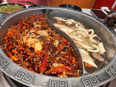 -销魂美蛙鱼头火锅(上海首店)