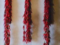 -上名堂·鱼头好吃(体育场路店)