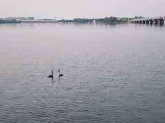 -丁香湖公园