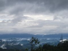 -天目山大树王景区