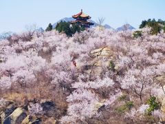 -白水寺森林公园
