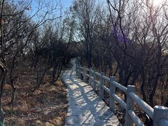 -北京西山国家森林公园