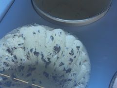 -牛New寿喜烧(金鹰世界店)
