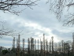 -井之头恩赐公园