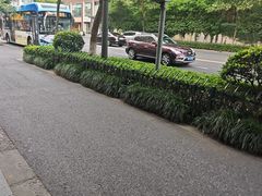 -杨氏青龙虾·吃蟹季(珠江路店)