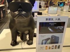 -Apple授权专营店(五彩城店)