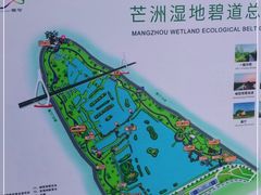 -芒洲湿地公园