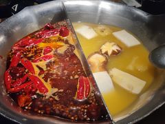 台式麻辣花胶鸡鸳鸯锅-湊湊火锅·茶憩(世博大道店)