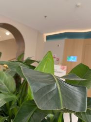 -LIHER北京丽合医疗美容医院