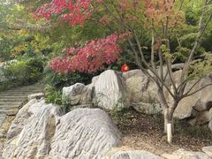 -大伊山景区