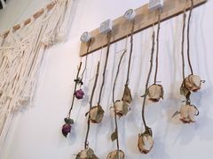 -之悦咖啡馆(新星宇·之洲店)