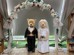 -济州岛泰迪熊博物馆