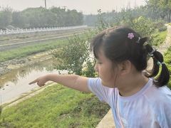 -东坝千亩湖公园