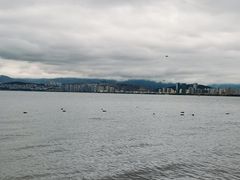 -洱海月湿地公园