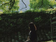 -楠溪江风景名胜区