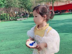 -合肥滨湖国家森林公园