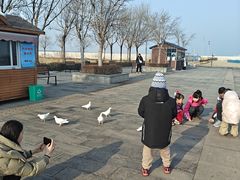 -天津妈祖文化园