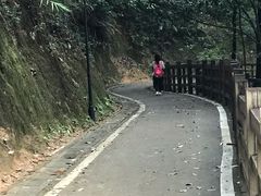 -广州市流溪河国家森林公园