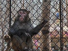 -长白岛森林公园