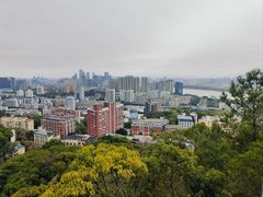 -福道
