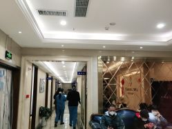 -碧莲盛·不剃发植发