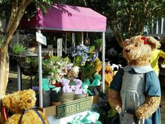 android_upload_pic-济州岛泰迪熊博物馆