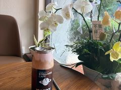 -星宙咖啡STELLARIS CAFE(广告产业园店)