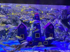 -太平洋海底世界