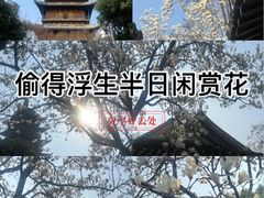 -常熟方塔园