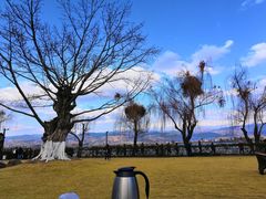 -西昌邛海宾馆