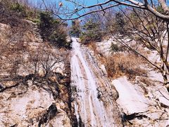 -王顺山国家森林公园
