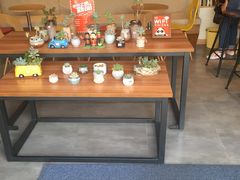 -熊猫邮局(少城店)