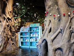 -杭州开元森泊度假乐园