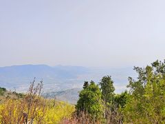 -北京西山国家森林公园