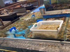 -一方渔歌蒸汽海鲜自助(文化路万达广场店)