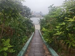 -海河外滩公园