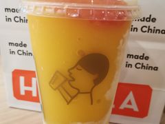 多肉芒芒甘露-喜茶(中山利和新地店)