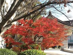 -东京国立博物馆