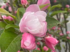 -北京大学(昌平校区)