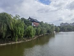 -南汇桃花村
